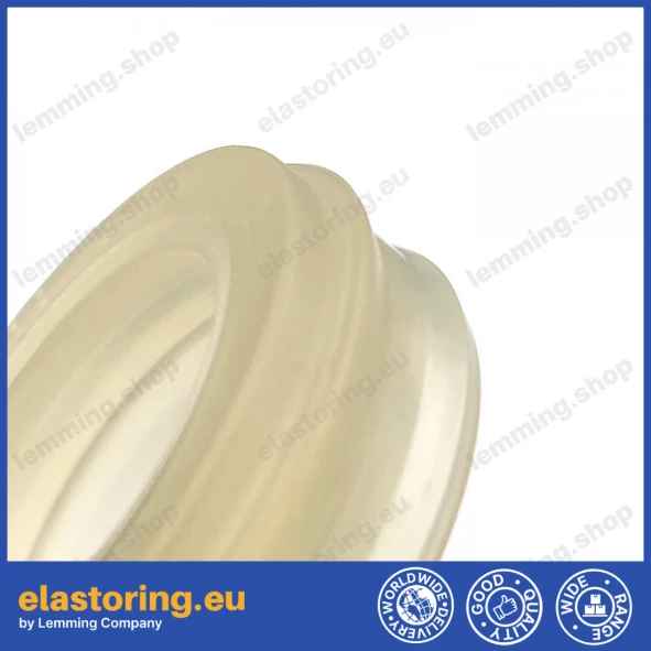 Pneumatic seal BWH 20x30x10,7 [2EBWH266]